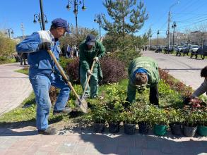 В Астрахани высадили 1,5 тысячи деревьев