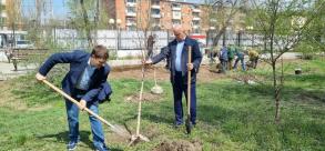 В Астрахани сегодня высадили около полутысячи деревьев и цветов