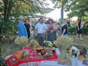 В парке «Аркадия» открылся фестиваль цветов «Цветочная симфония»