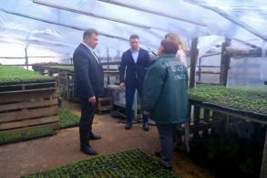 В парках и скверах города в этом году  высадят около 150 тысяч однолетников