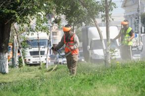 В Советском районе с начала года скосили более 100 гектаров сорной растительности