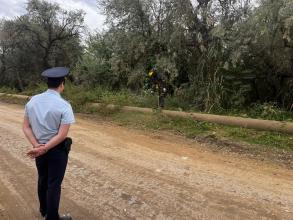 В Тополиной роще ликвидировали наркосодержащие растения