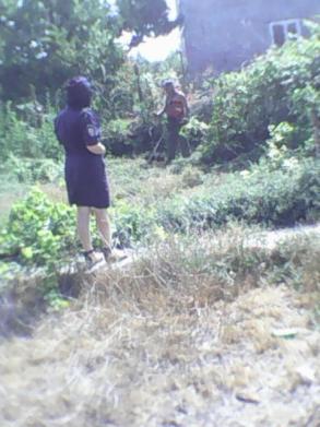 Проведен очередной рейд по выявлению и уничтожению дикорастущих наркосодержащих растений