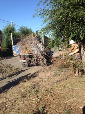Общегородское мероприятие "День чистоты".