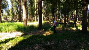 Проведен рейд по скосу и уничтожению дикорастущих наркосодержащих растений на территории района