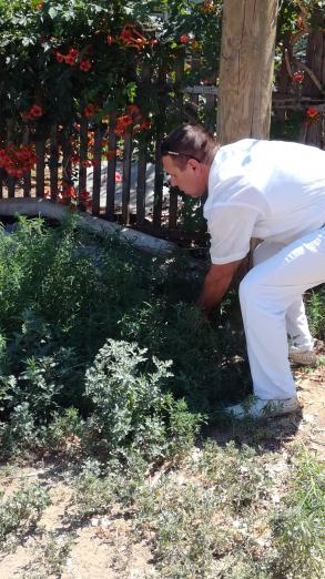 ИНФОРМАЦИЯ  о ходе проведения операции «МАК-2018» по состоянию на 1 июля 2018 года