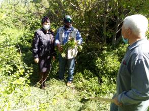 14.05.2020 проведено рейдовое мероприятие  по выявлению и уничтожению дикорастущих наркосодержащих растений
