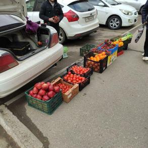 Проведение рейдовых мероприятий