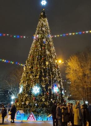 В новогодние каникулы в парках Астрахани пройдут праздничные мероприятия 