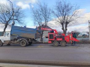 На улице Николая Островского опиливают деревья