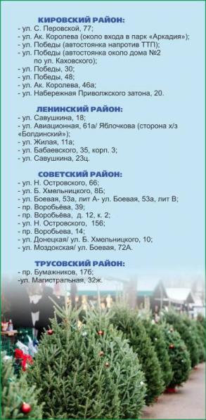 Елочные базары откроются в каждом районе Астрахани