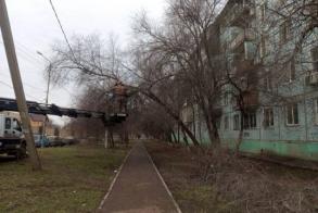 На улице Безжонова приступили к опиловке деревьев 