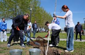 В Астрахани на центральной набережной начали высаживать "Сад Памяти" 