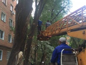 На ул. Николая Ветошникова проведена санитарная обрезка деревьев