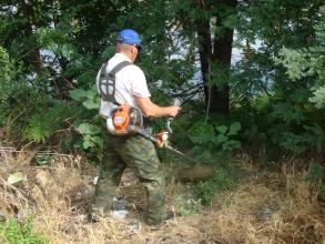 ИНФОРМАЦИЯ  о ходе проведения операции «МАК-2018»