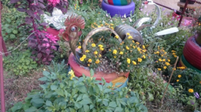 Проходит конкурс на лучшее благоустройство двора