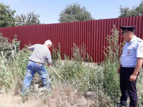 Информация о проведении мероприятий по выявлению и уничтожению дикорастущих наркосодержащих растений в период проведения 1-го и 2-го этапа операции «Мак-2020»