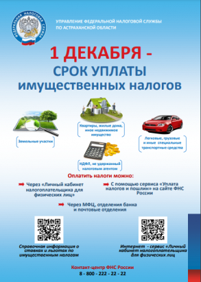1 декабря - срок уплаты имущественных налогов