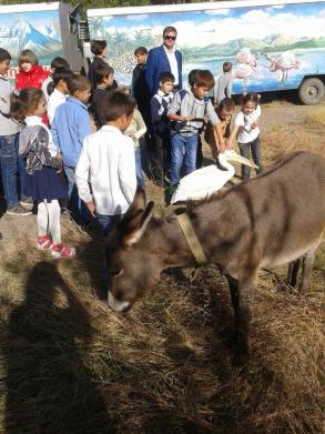 Экскурсия в "Передвижной зверинец "Сафари"