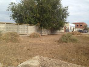 Скос сорной и карантинной растительности.