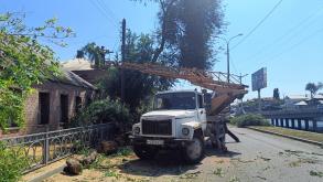 На Набережной 1 Мая опилили 140 деревьев