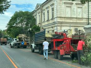 На ул. Свердлова опилили 47 деревьев