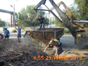 "День чистоты"