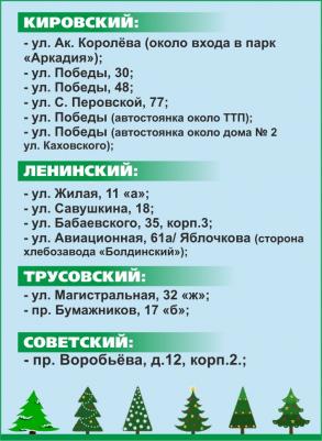 В Астрахани определены места для размещения елочных базаров 