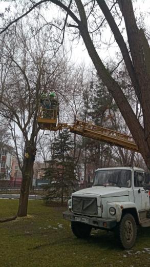 На общественных пространствах Астрахани проводится опиловка