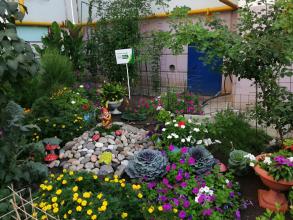 Стартовал прием заявок на участие в конкурсе «Сами садик мы садили»