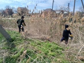 Порядка полумиллиона квадратных метров камыша и сорной растительности скошено в Астрахани с начала года