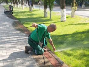 Состояние поливочной системы Астрахани обсудили на заседании городской общественной палаты