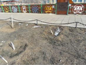 В парке поселка Казачий вандалы уничтожили 15 молодых деревьев