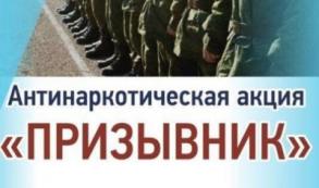 Почти 14 тысяч человек приняли участие в акции «Призывник»