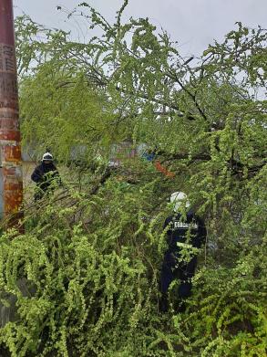 Астраханские коммунальщики готовы к усиленному режиму работы