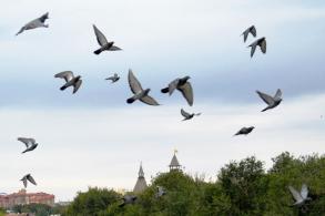 Астрахань поддержит День солидарности в борьбе с терроризмом