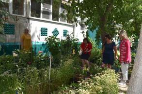 Более ста дворов уже заявились на участие в конкурсе «Сами садик мы садили»