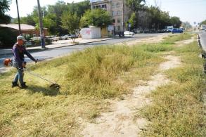 В Астрахани продолжается борьба с сорной растительностью