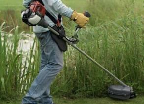 К скосу камыша в Астрахани привлекут осужденных