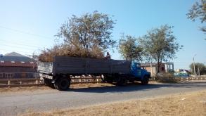 День чистоты на территории района