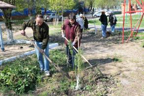 Все на субботник!