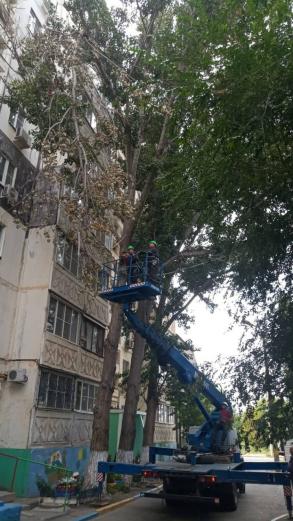 В Астрахани продолжают устранять последствия сильного ветра