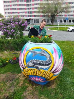 В Астрахани высадили 50 тысяч цветов