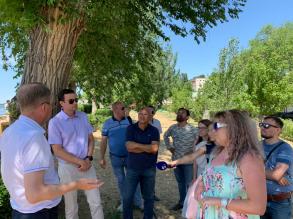 На Комсомольской набережной не планируется масштабный снос тополей  