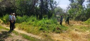 В Астрахани стартовала оперативно-профилактическая операция «МАК-2023» 