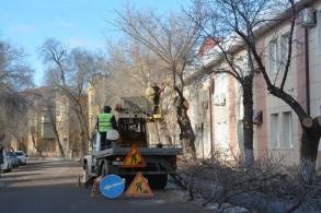 На улице Костина идёт большая опиловка