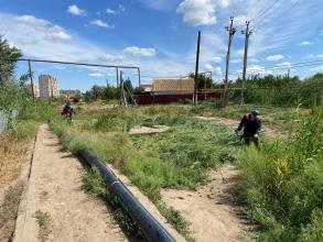 В районах областного центра ликвидируют сорную растительность
