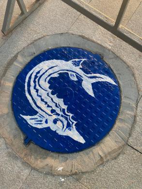 В Астрахани разукрасили люки смотровых колодцев у памятника Петру I