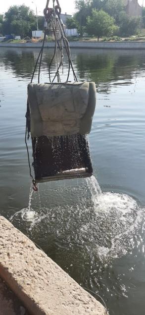 На выходных из астраханских каналов вытащили матрас, шкаф, кресло и барана