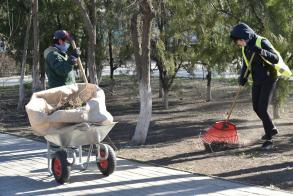 Озеленение общественных пространств в Астрахани продолжается